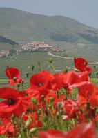 Sibillini